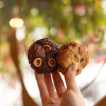 Two cookies held in a hand with a blurred natural background